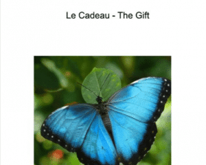 Le Papillon Magique -The Magic Butterfly