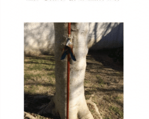 les contes de mamie fée de nicolle hirigoyen