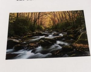 Les Retrouvailles Célestes par Nicolle Hirigoyen & Suzanne Augrandjean