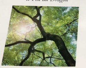 Sous le voile de l’oubli-Le feu du Dragon- Nicolle Hirigoyen